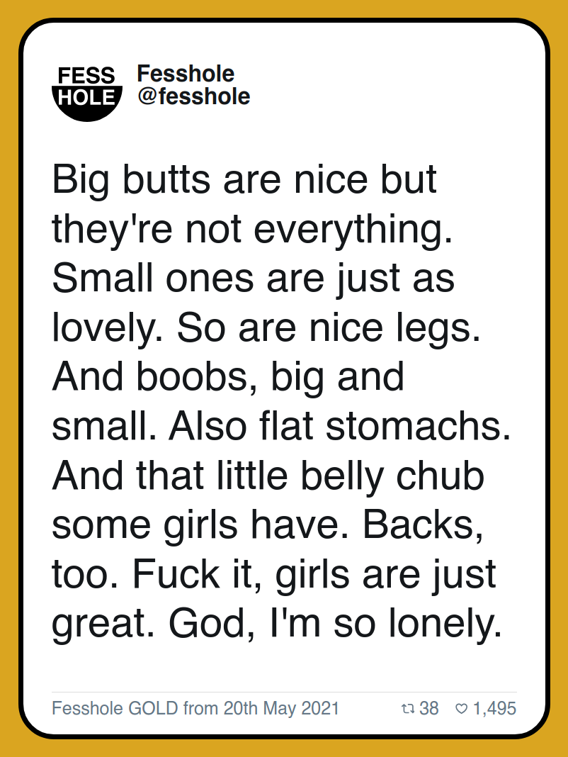 Big butts are nice but they're not everything. Small ones are just as lovely. So are nice legs. And boobs, big and small. Also flat stomachs. And that little belly chub some girls have. Backs, too. Fuck it, girls are just great. God, I'm so lonely.

Fesshole GOLD from 20th May 2021