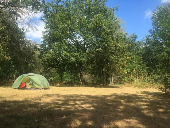 Posted media