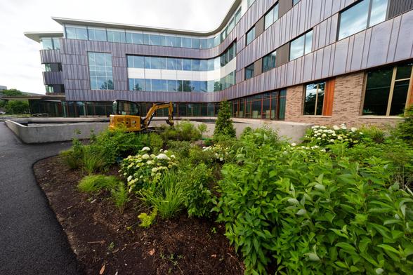 In the near field a a garden of dense mostly vegetative plants with an empty concrete pond served by a yellow small excavator and a copper-faced building curving behind it all