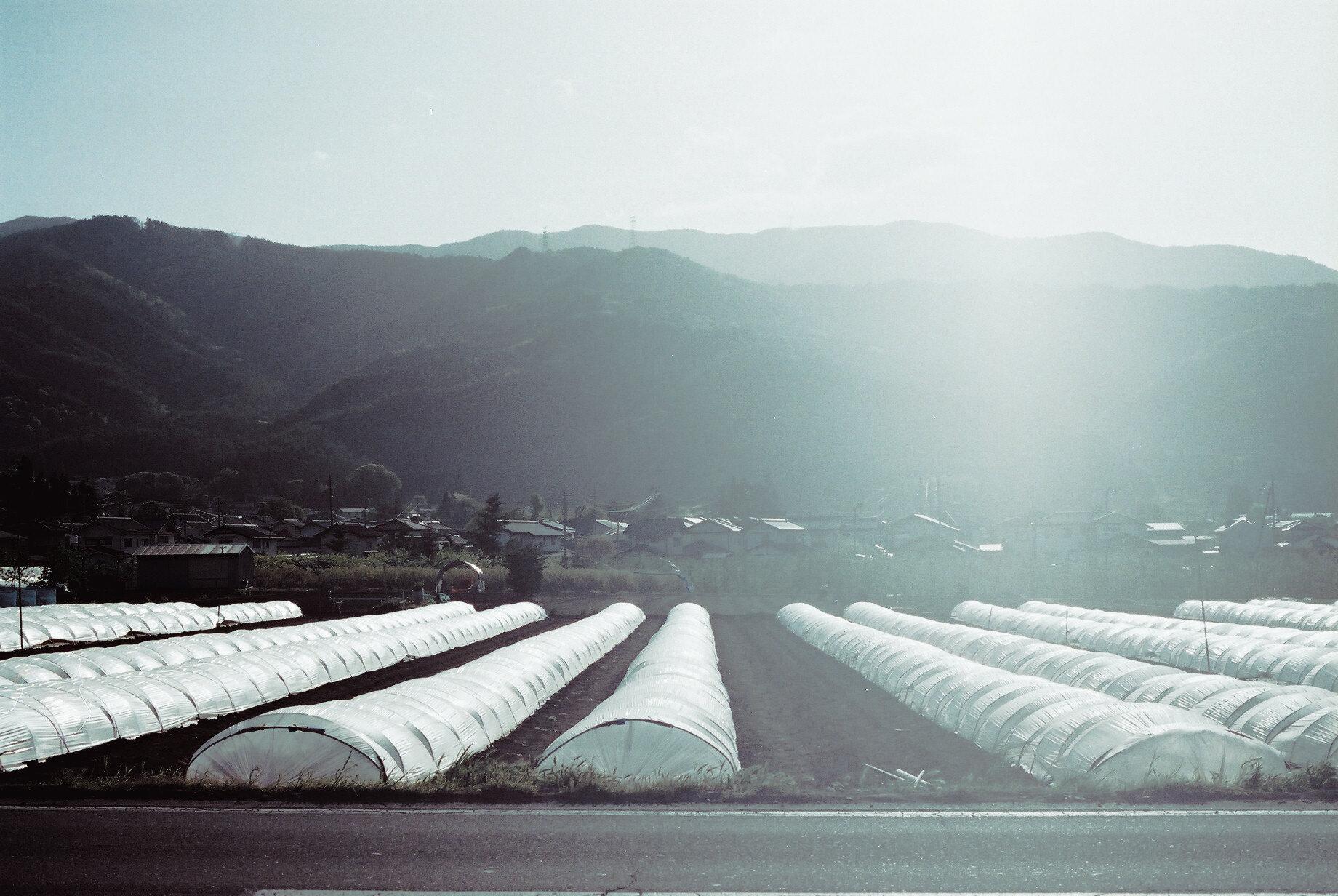 Nagano — film, 2021