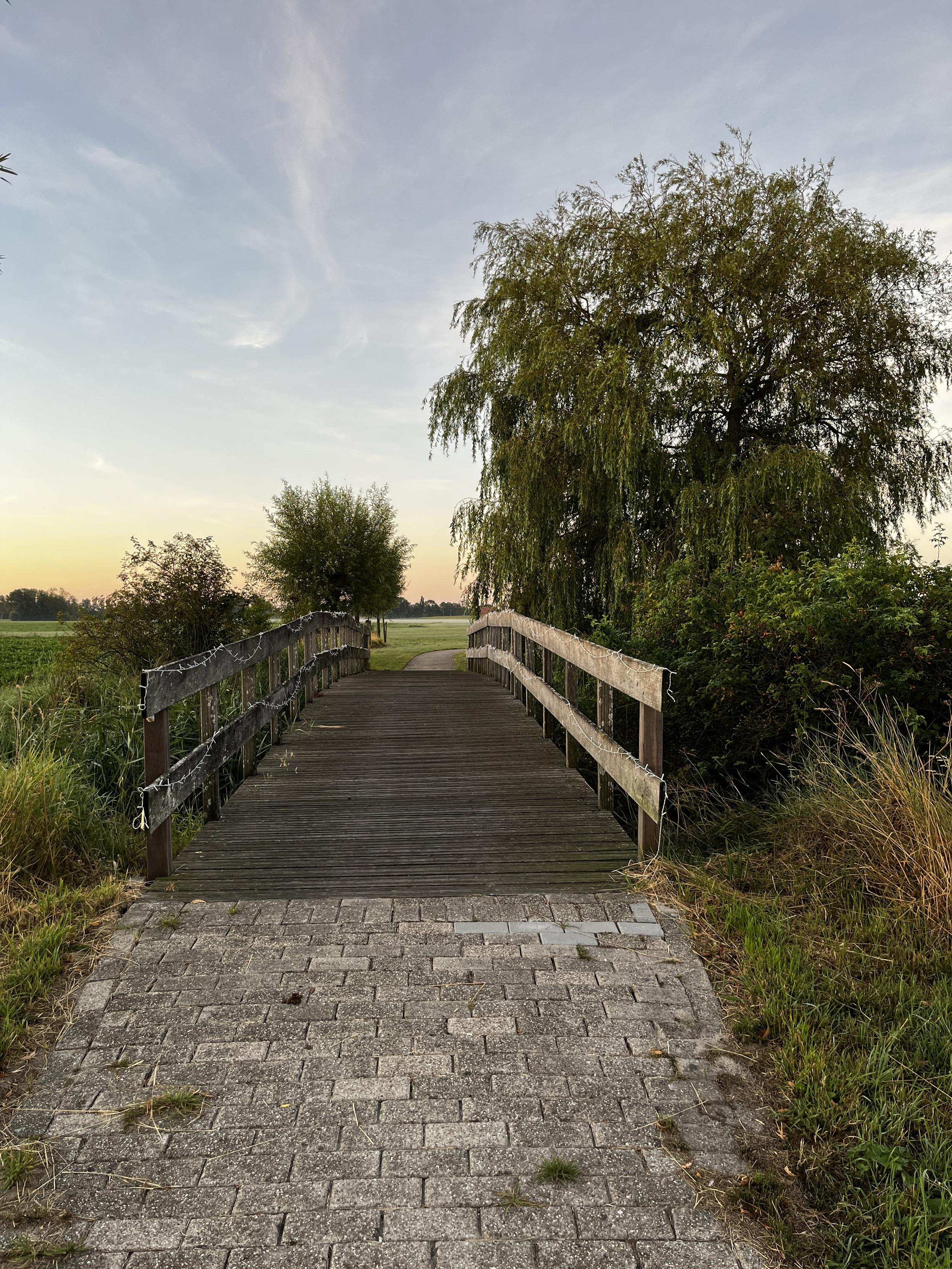 Wooden bridge, a cobblestone path leading up to it. A big green willow to its right. The sky is yellow, pinkish blue because of the sun coming up from the left