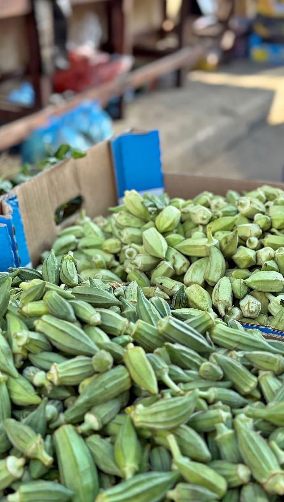 Good evening ❤️
I’m trying to survive and support my family despite everything. 💔
We need €100 to buy food today. I walked to the market, but I came back without buying anything because of the high prices. 😔
I even had to grind the peppers we had at home. 🙏
Any help means so much to us. ❤️
🔗 https://chuffed.org/project/189777-help-hanans-four-children-survive.
#Gaza #GazaCrisis #HelpGaza #Palestine #Donate

#Gaza #Palestine #StandWithGaza #MutualAid #Humanity #SupportPalestine #SaveLives #EmergencyRelief