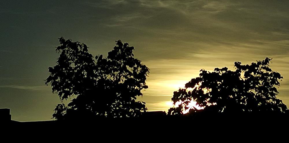Ein ziemlich schlechtes Foto mit einem Alten Smartphone und Zoom aufgenommen. Es zeigt die Siluette einer Häuserreihe, also die Dächer. Darüber gelblicher Himmel mit Wolkenschleiher über einer hinter Baumwipfel untergehenden Sonne.