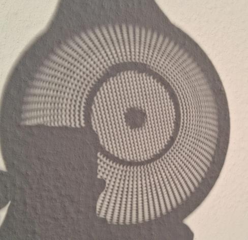 Eclipse shadow, with a bunch of crescents showing the sun is half hidden.