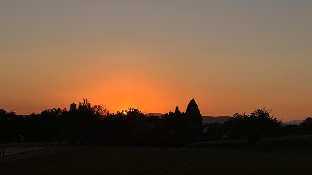 Landschaft mit Sonnenuntergang, die fast wieder ganze Sonne leuchtet orange durch die Bäume.