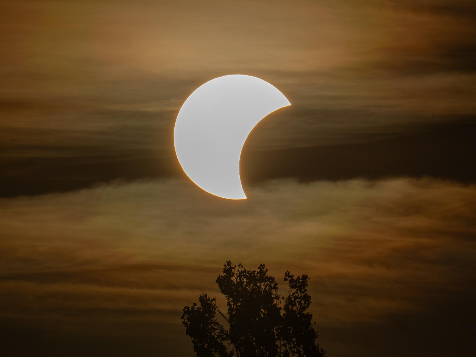 Ein oranger Himmel mit leichten Wolken, am unteren Rand der Schattenriss einer Baumkrone. Im Zentrum die helle Sonnenscheibe, der rechts ein Stück fehlt, das vom Mond verdeckt wird