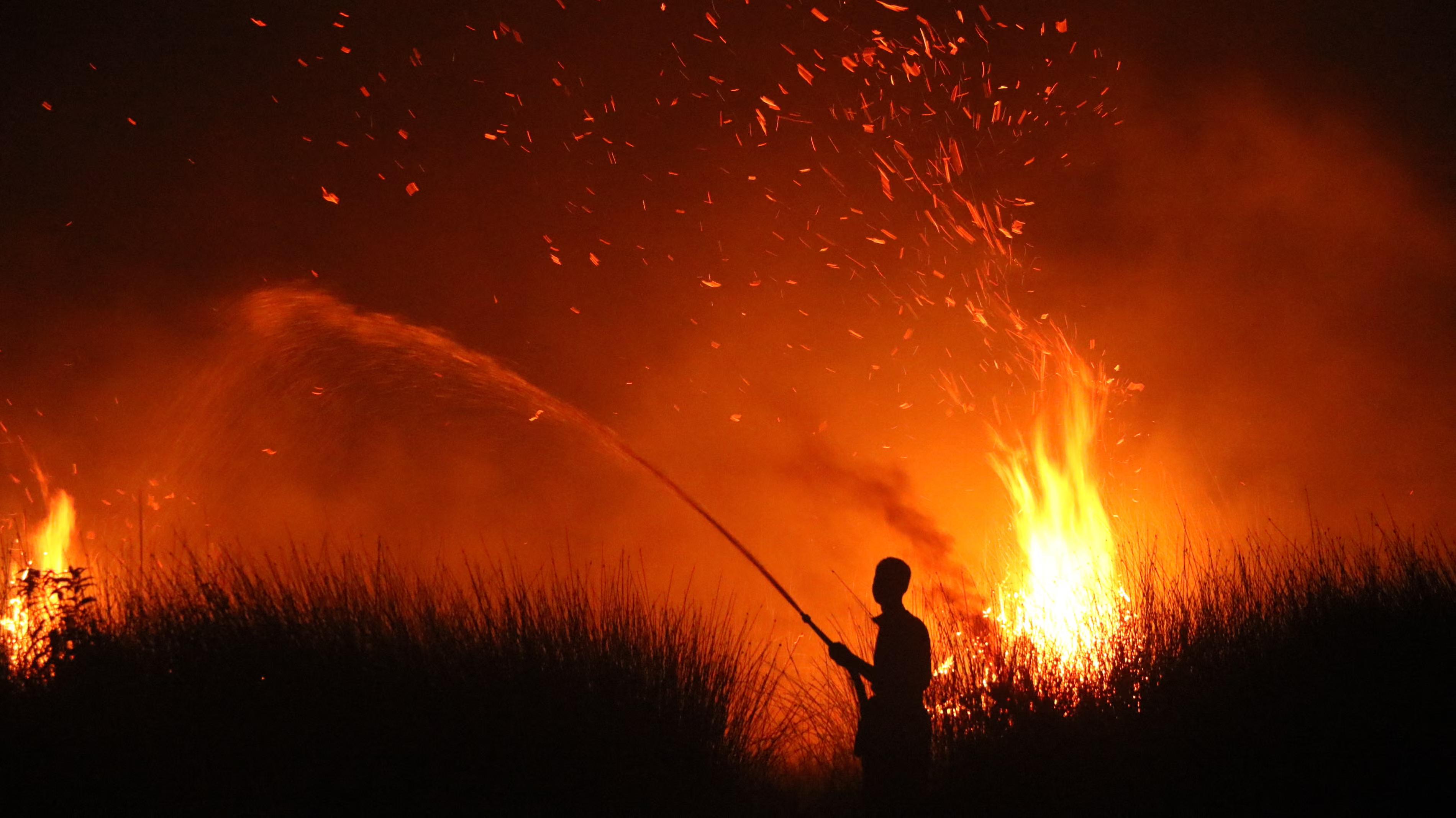 A person attempts to extinguish a wildfire on the island of Borneo.