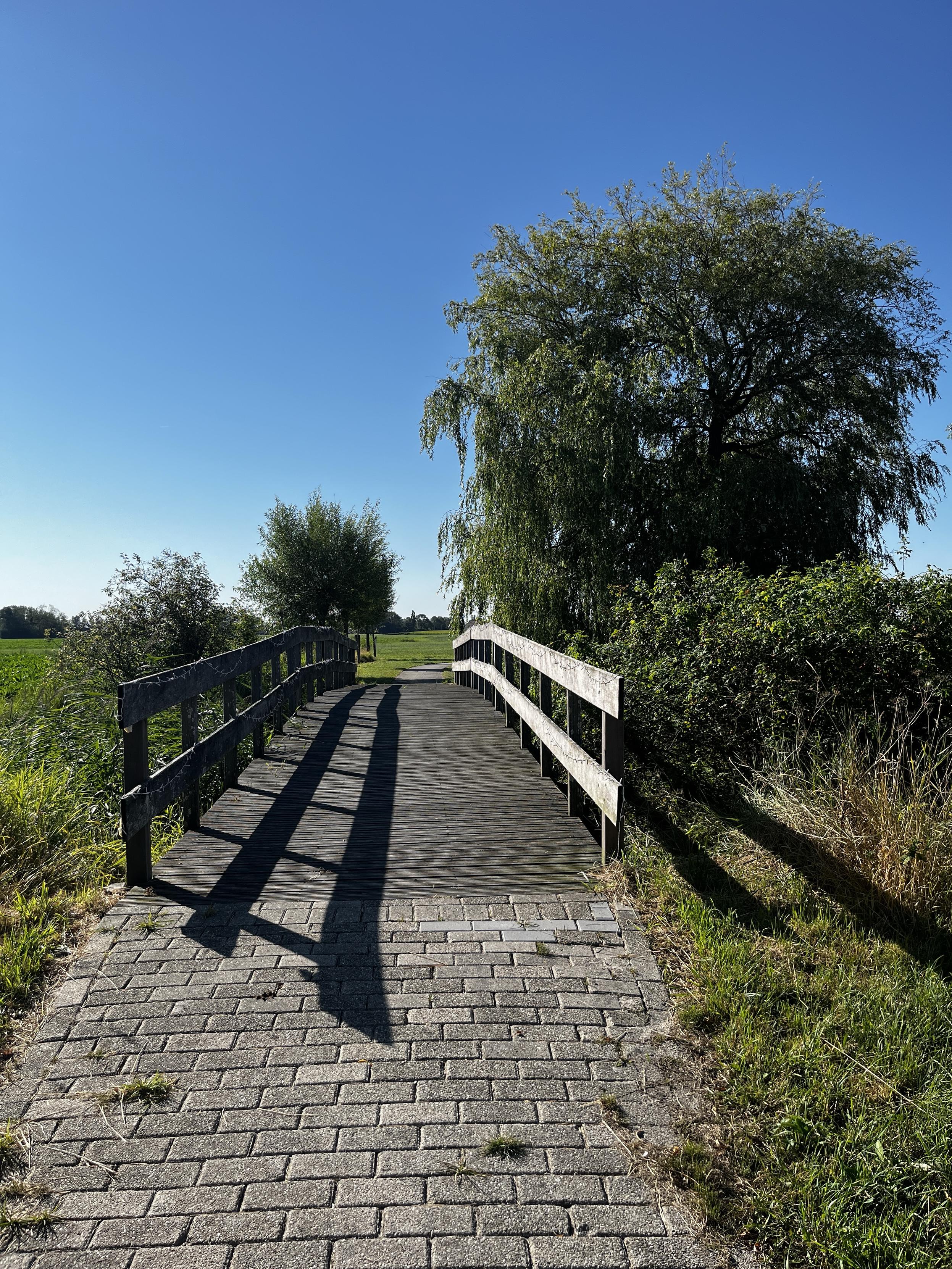 Wooden bridge, a cobblestone path leading up to it. To the right, a big green willow. The sky is bright blue