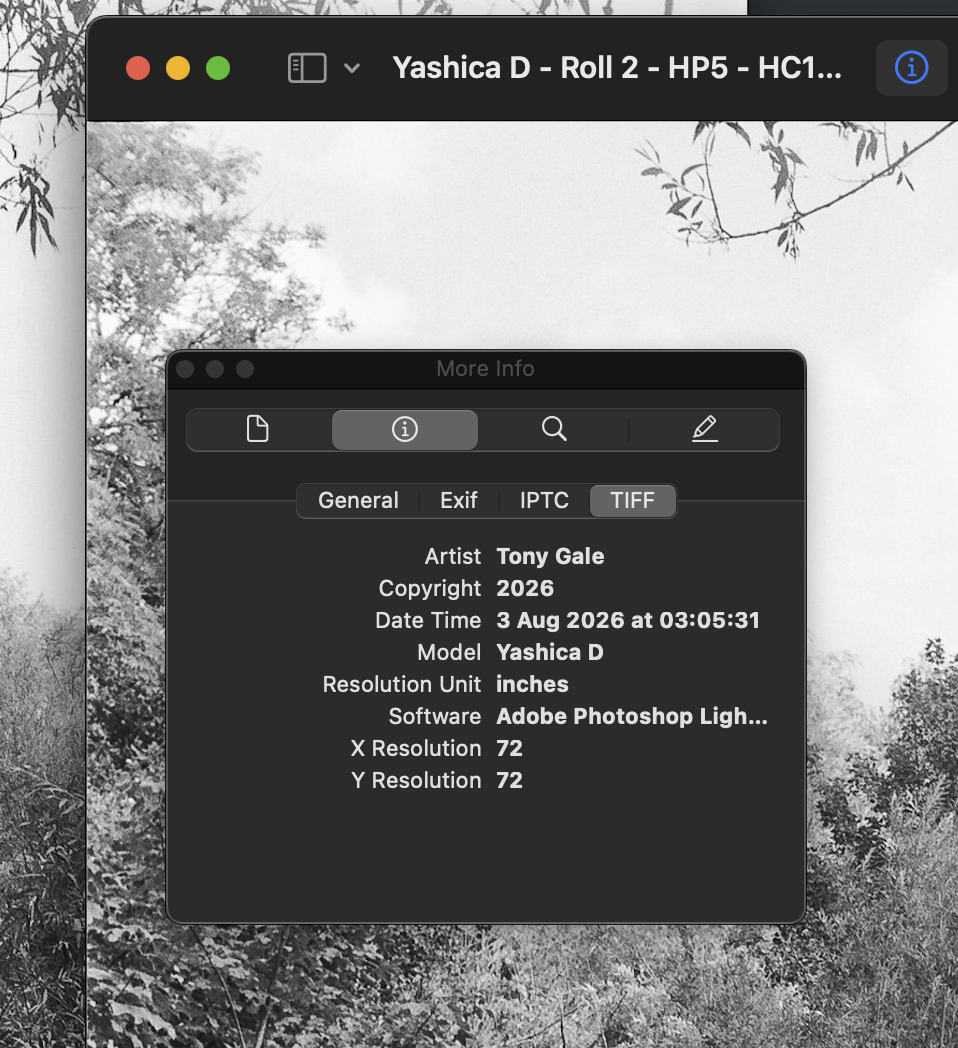 Here's the EXIF data from the file on my hard drive, pre-upload, rightly identifying myself as the "artist".