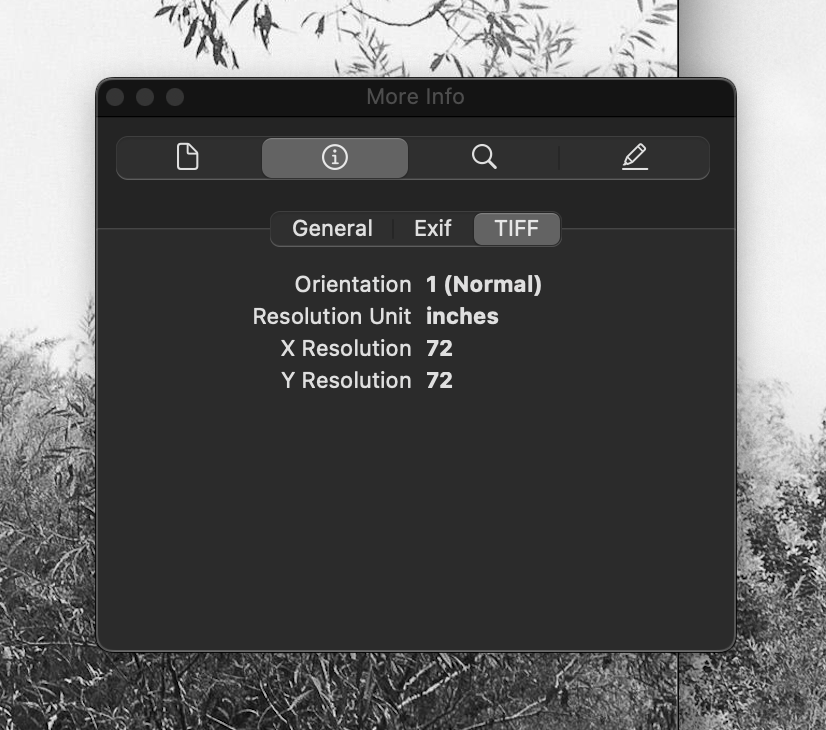 And here's the EXIF data from the exact same file after it had passed through Mastodon.social's servers, now missing the Artist and Copyright tags.