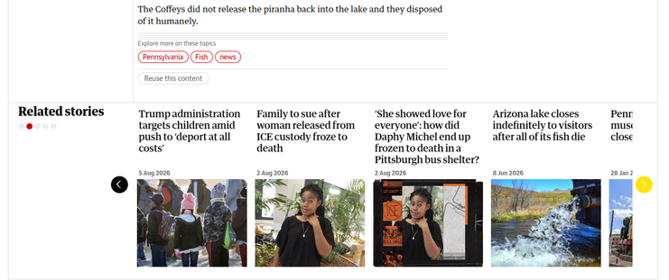 The Guardian's "Related Stories" for an article "Piranha drama: boy, 8, hooks fearsome exotic fish in Pennsylvania lake"
https://www.theguardian.com/us-news/2026/aug/13/boy-catches-piranha-pennsylvania