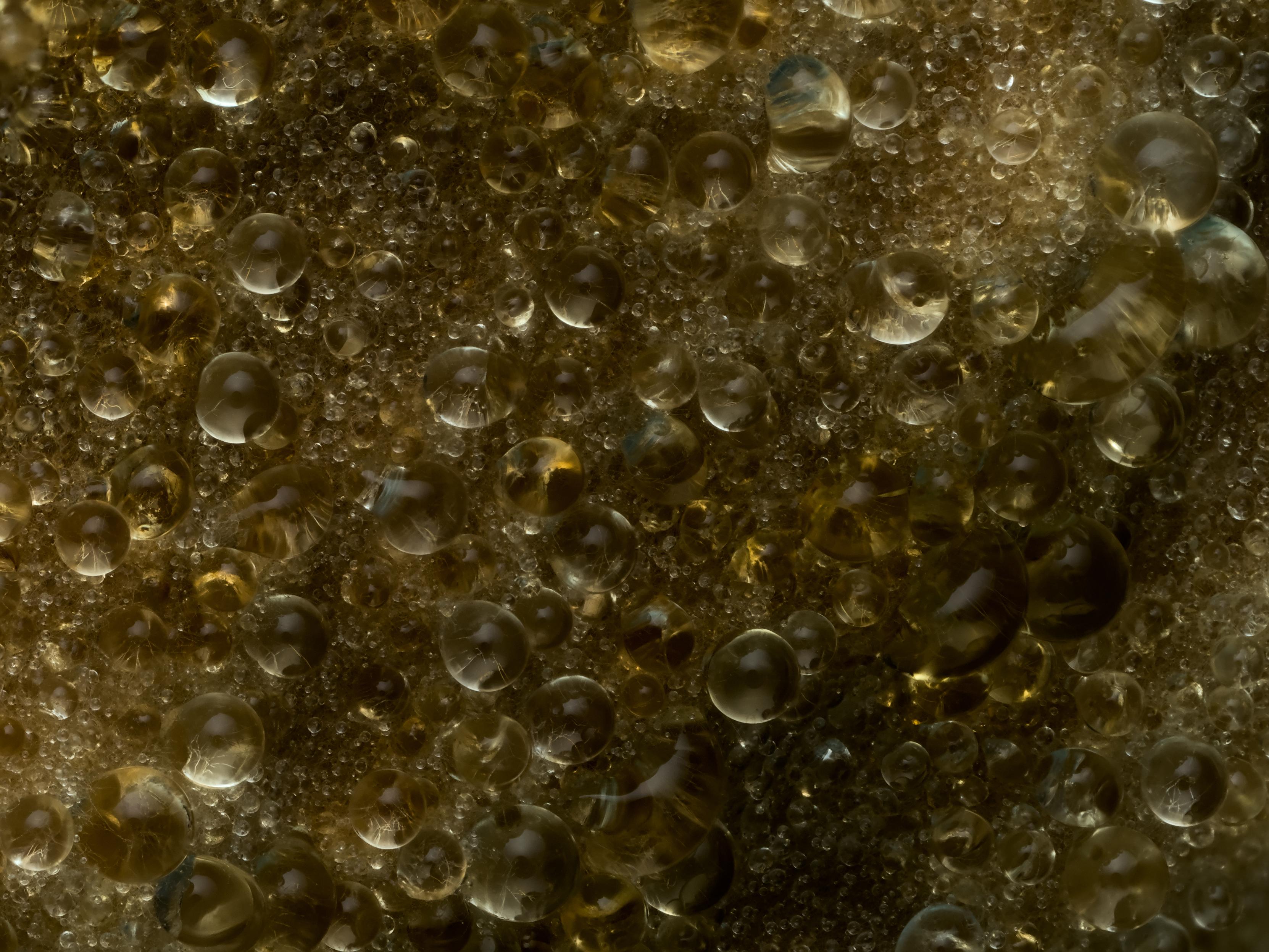 Extreme-macro shot of thousands of small, golden droplets (metabolites of a Phellinus sp.) growing on cardboard and magnifying the underlying hyphae spreading through the substrate. Made by focus stacking 150 pictures in Helicon Focus.