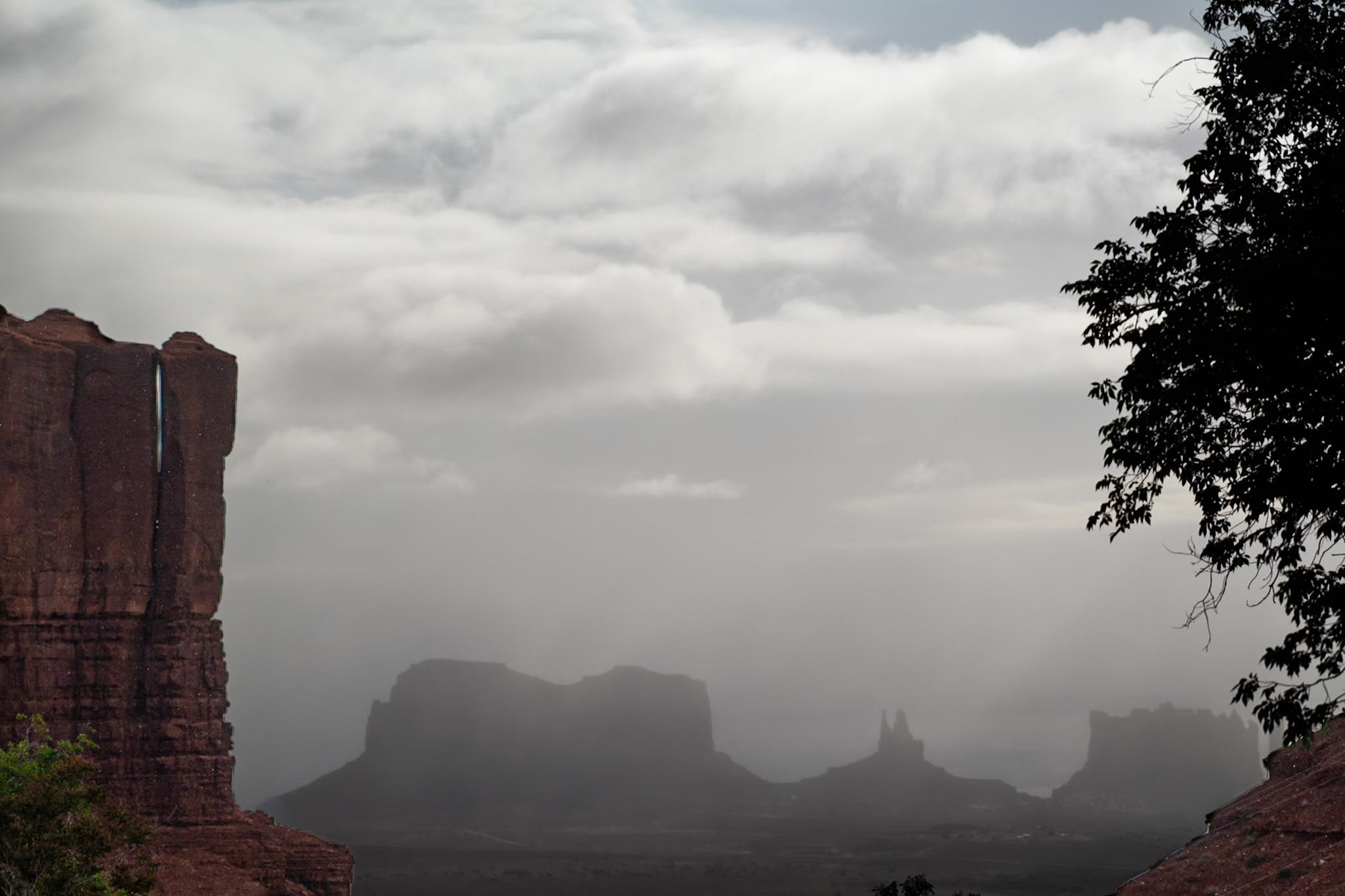 Monument Valley on a foggy early morning. Red sandstone buttes are partly dissolved in low gray fog and cloud in the distance, appearing as soft silhouettes. A dark red rock face anchors the left edge of the frame, and the silhouetted branches of a tree frame the upper right. The mood is muted and atmospheric.