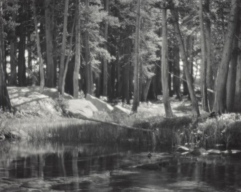 Fotografia in bianco e nero di una foresta di alti alberi lungo un tranquillo corso d’acqua. La luce filtra tra i tronchi e illumina la vegetazione sulla riva, mentre la superficie dell’acqua riflette gli alberi e il paesaggio circostante.