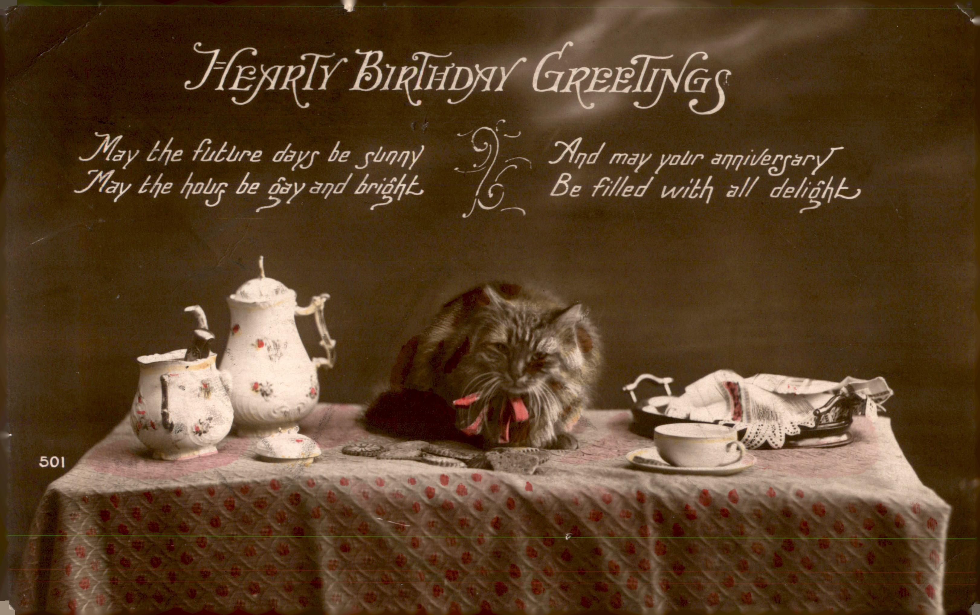 An antique happy birthday postcard of a large long-haired tabby cat with a bow around his neck. It is a black and white photo but the bow is tinted a shade of pink.
