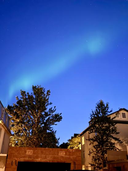 Green aurora over some houses and trees