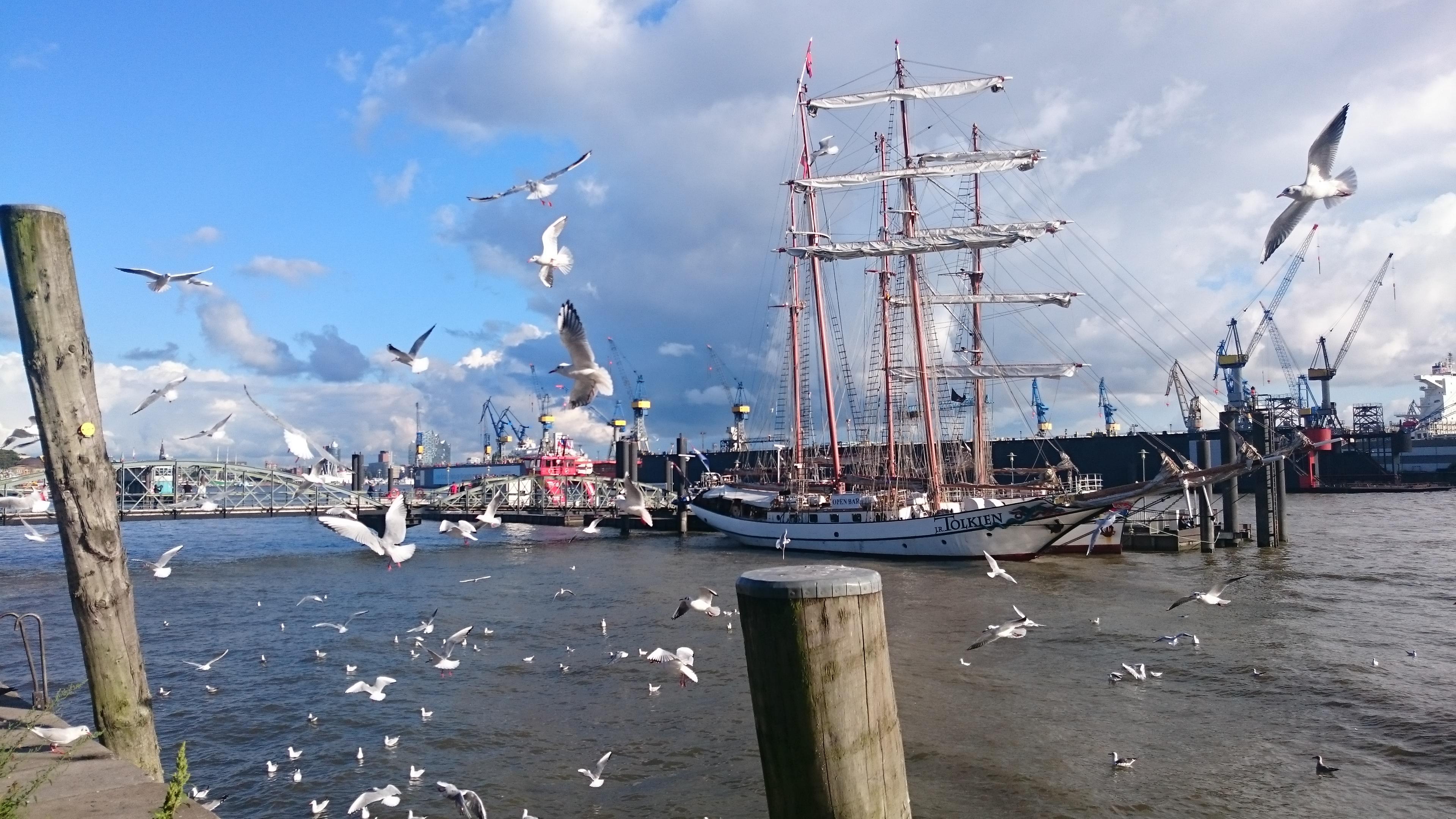 Hamburger Hafen. Tag. Sehr viele Möwen fliegen. Zwei niederländische Segelschiffe ankern. Die Tolkien und die Loth Lorien.