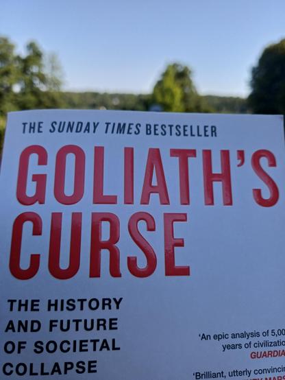Das Buch "Goliath's Curse. The history and future of societal collapse" vor dem Hintergrund eines Sees mit Bäumen am Ufer und wolkenlosem, blauem Himmel