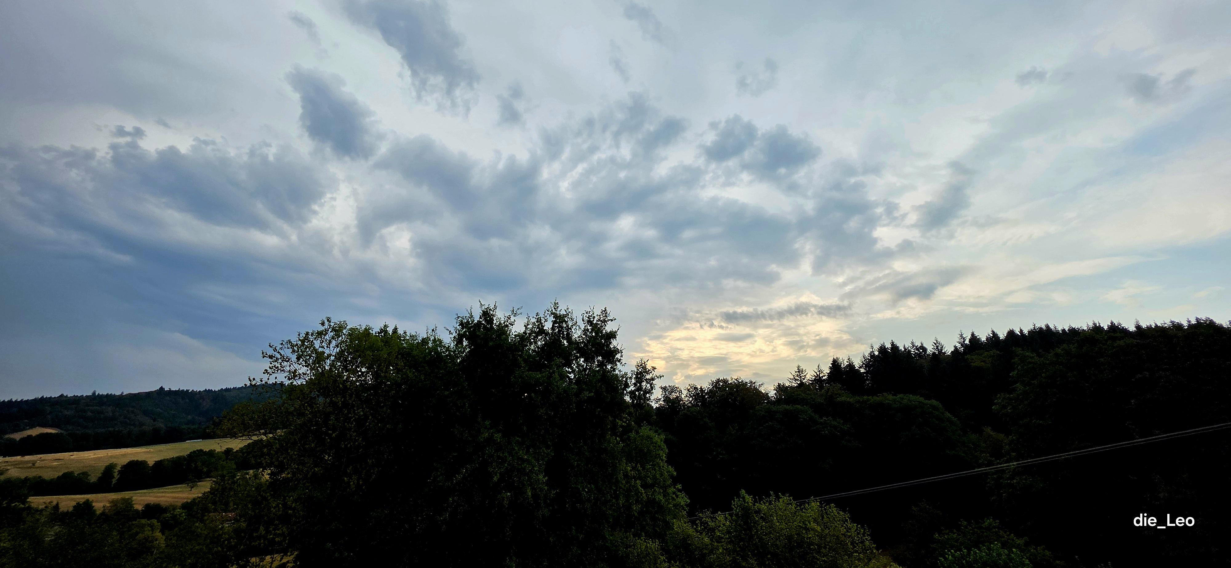 Morgendämmerung bei Wittnau