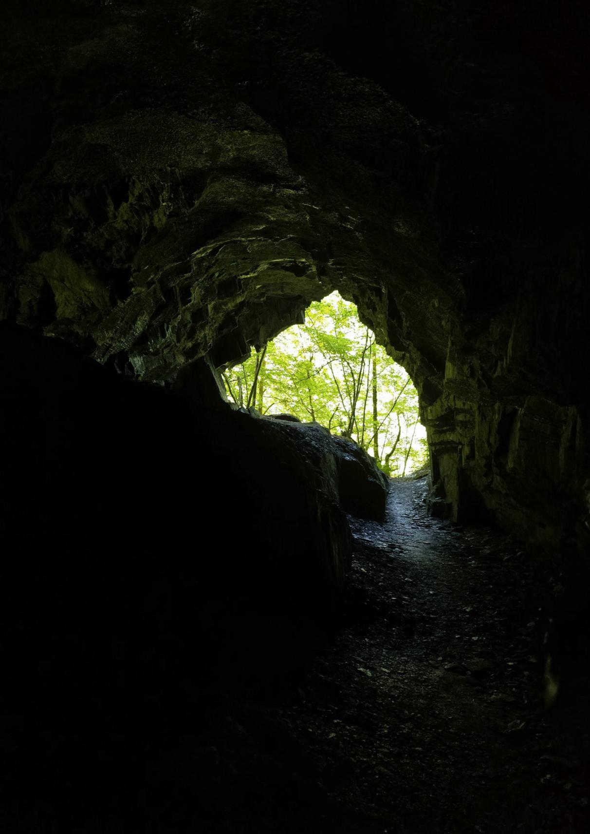 Blick aus der Höhle ins Licht. Bäume am Ausgang.