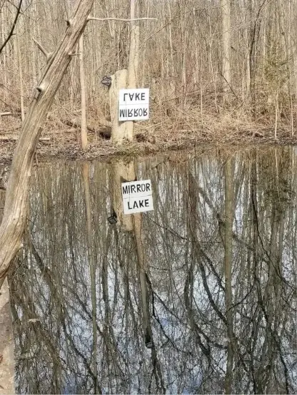 A small body of water in a wooded area. The trees are bare. Near the edge of the water a sign, the text of which can only be read in its reflection in the water. "MIRROR LAKE" 