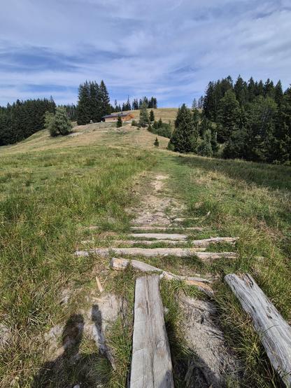This image captures a rustic and scenic trail leading through a grassy hillside. The trail is constructed from weathered wooden planks and logs, creating a natural and uneven path that blends into the surrounding landscape. The grass on either side of the trail is tall and lush, with a mix of green and golden hues, suggesting a late summer or early autumn setting.
In the background, the hill rises gently, covered in dense evergreen trees that form a dark green forest. At the top of the hill, th…