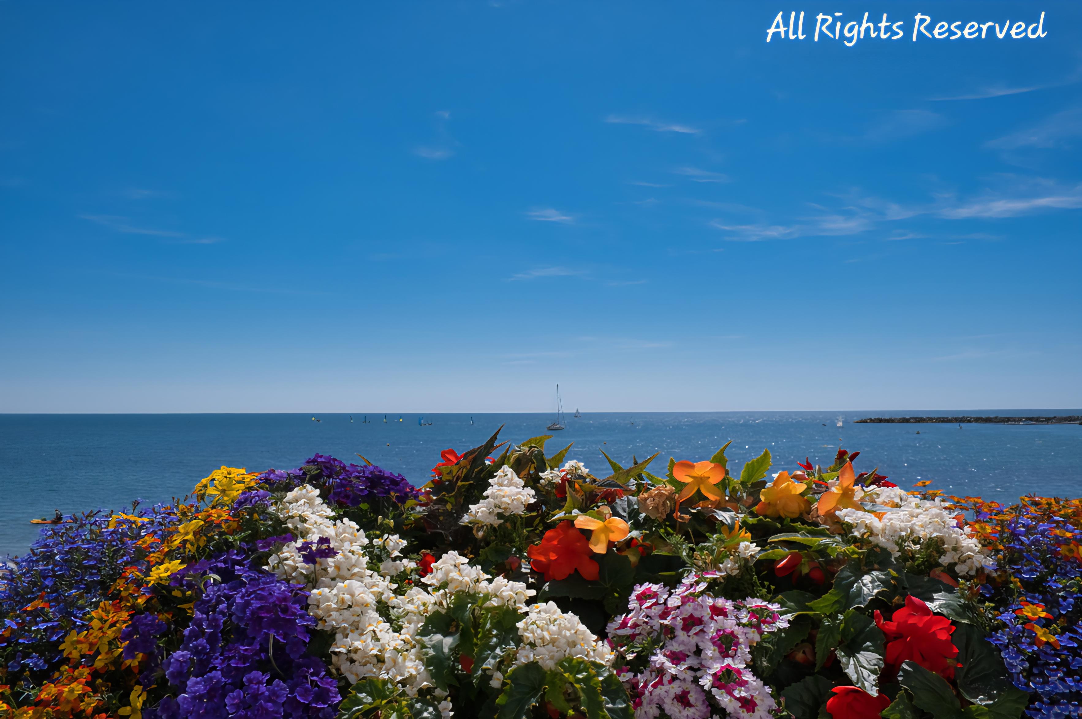 Couldn't walk past without snapping what was the most wondrous colourful scene