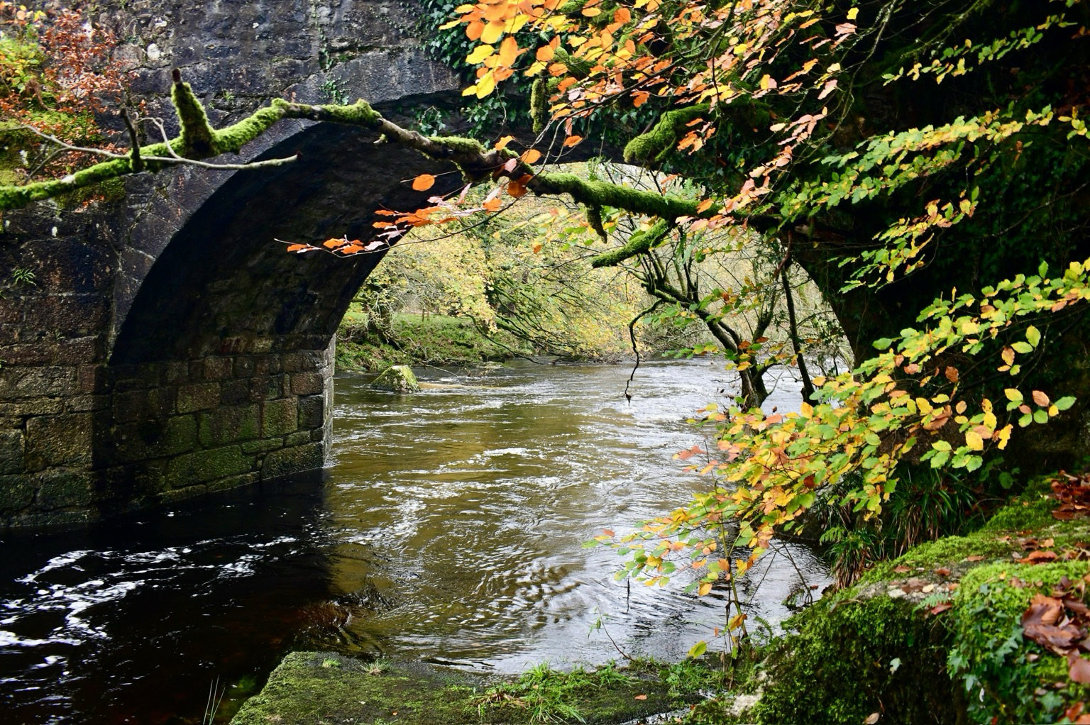 Huckworthy bridge in autumn