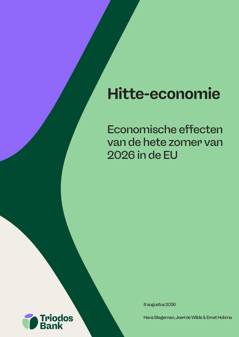 Hitte-economie