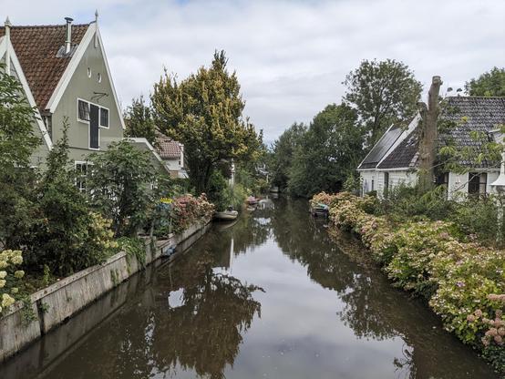 Houses, trees, and flowers line either side of a small canal