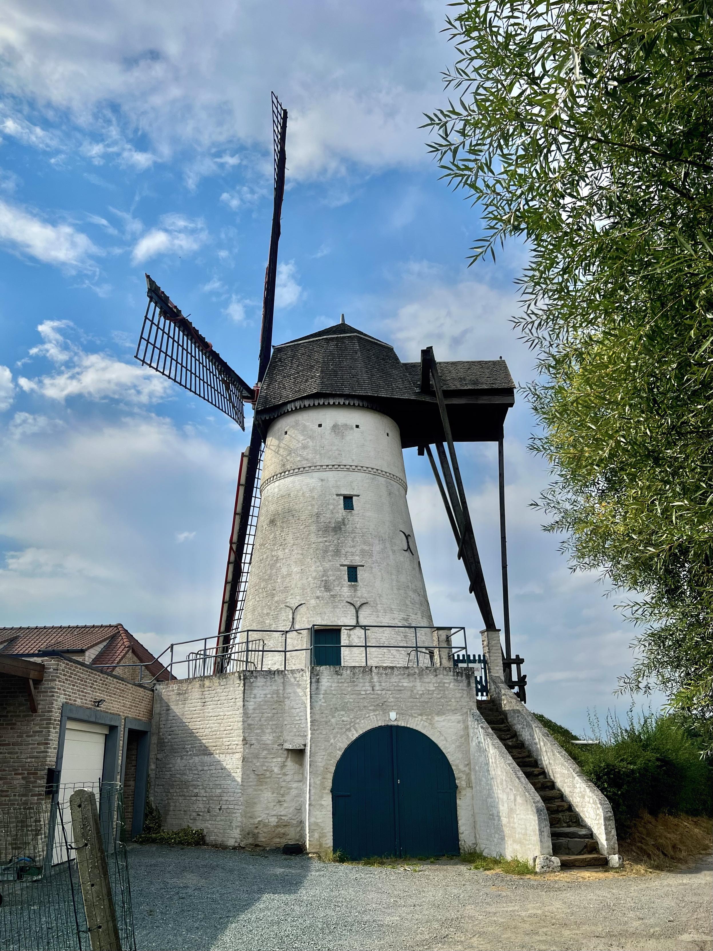 Molen Ter Zeven Wegen, Ninove, Aalst, Belgium

A traditional windmill with white walls and a dark roof stands under a partly cloudy sky. The mill's sails are partially open, and a staircase leads up to its entrance. A tree branch extends into the frame from the right side, while a small building with a red-tiled roof is visible in the background on the left. The scene is framed by natural elements, including gravel and greenery at the base of the mill.

35 mm equivalent: 26 mm