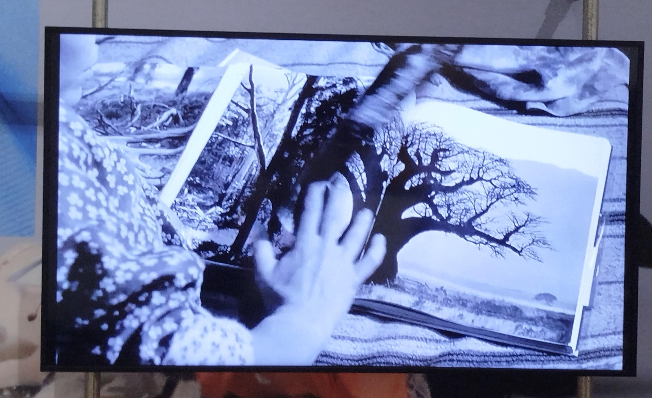 Photographie d'une projection vidéo présentée à l'exposition :" Picture Perfect" au Bozar de Bruxelles.

Une main d'enfant est posée sur une page d'un livre où est représentée un arbre.