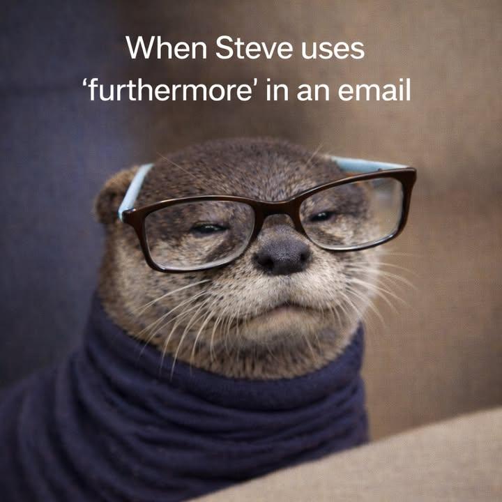 Short description: A close-up portrait of an otter named Steve wearing black-framed glasses and a navy turtleneck, looking self-satisfied against a softly blurred background. Baked-in text: “When Steve uses ‘furthermore’ in an email”