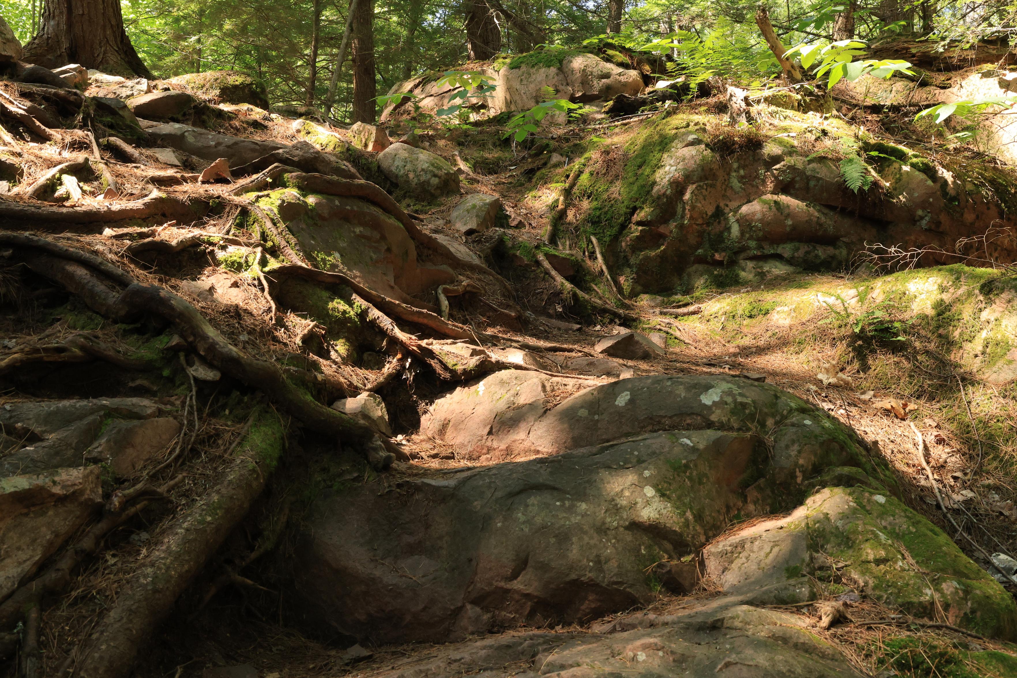 This is a landscape photo taken in the summer along a hiking trail that is located in the "Canadian Shield". The slight assent up the trail navigates over rocky terrain with prominent tree roots present. It was a sunny day so both sunshine and shadows can be seen on the various levels of the trail's route. Moss can be seen on some of the rocky areas with trees present at the top of the slight incline.