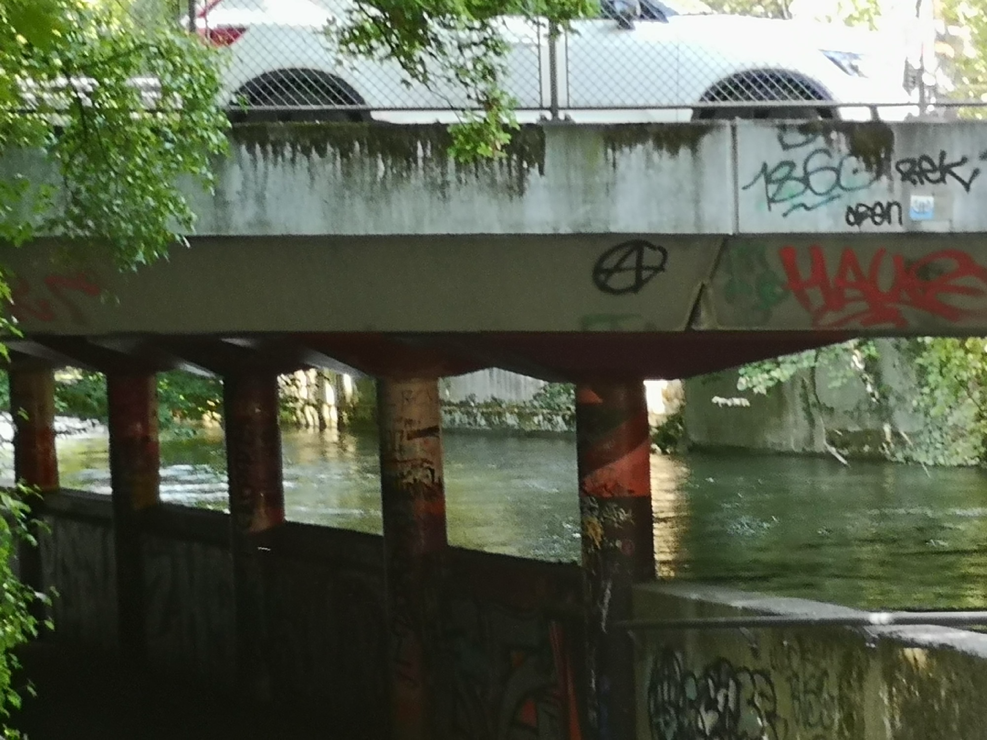 A narrow river flows beneath a graffiti-covered concrete bridge, framed by dense green foliage, with cars visible above.