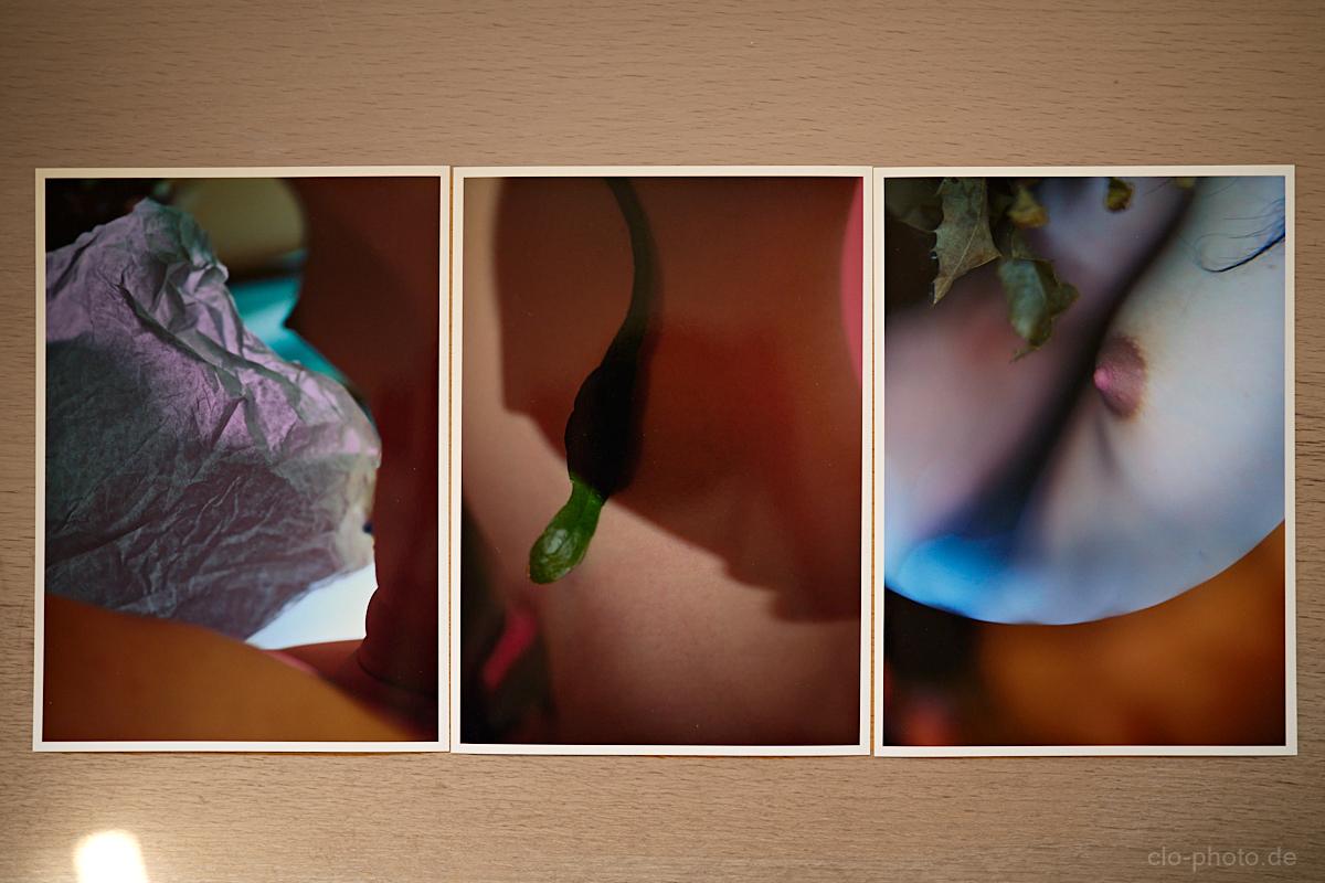 Three printed photographs: body, paper, plant, details, minimalist in shades of red, orange and purple/blue