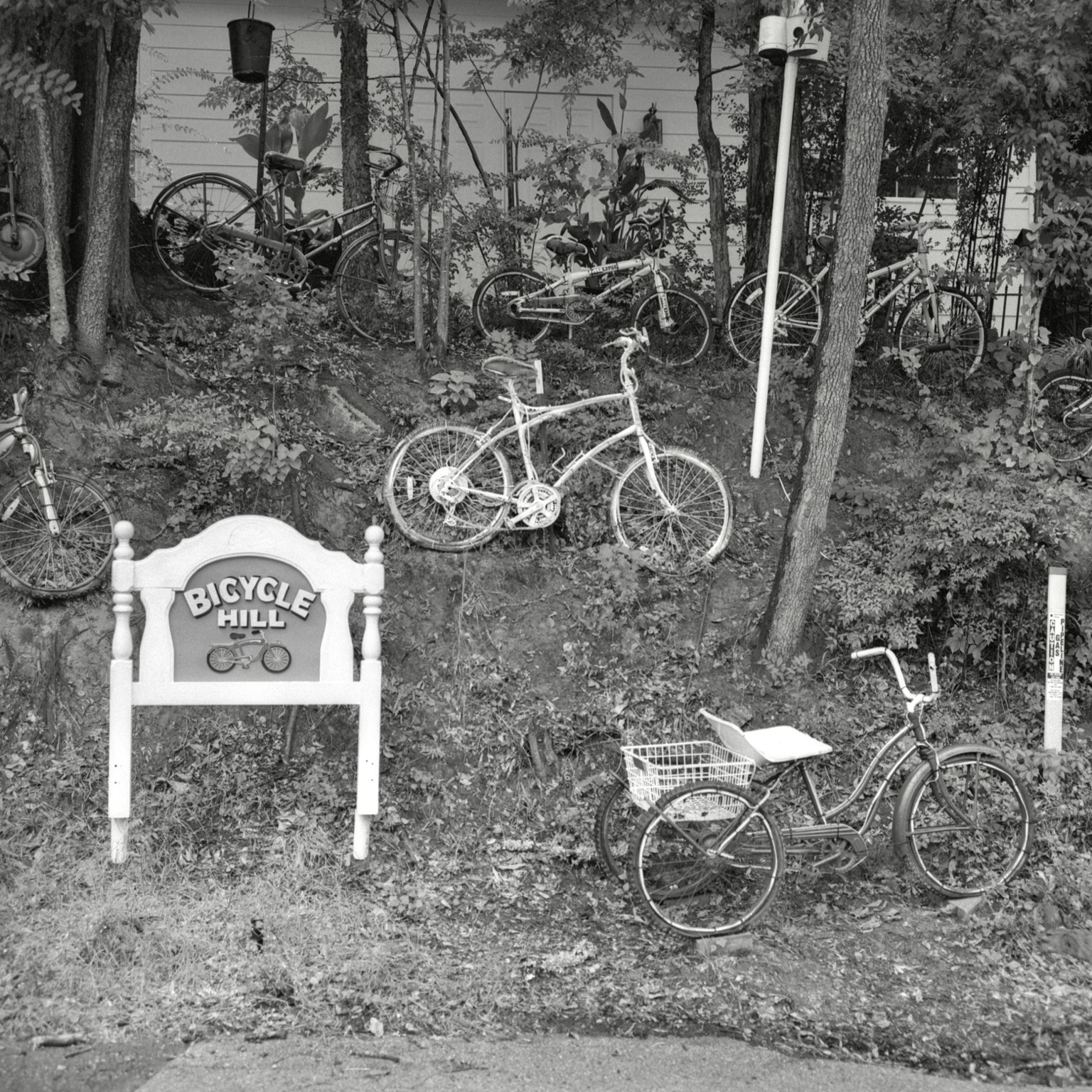 A black-and-white film photo. Many bicycles can be seen strewn along Bicycle Hill in Jefferson, Texas. Sunday, July 12, 2026.