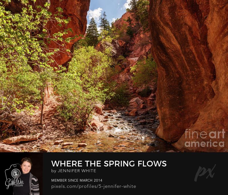A rugged but beautiful nature scene I caputred along Spring Creek Canyon as we hike the Kanarra Falls hiking trail in southern Utah.
https://5-jennifer-white.pixels.com/featured/where-the-spring-flows-through-utah-jennifer-white.html
@fineartamerica 
#photography #buyintoart #wallart #interiordesign