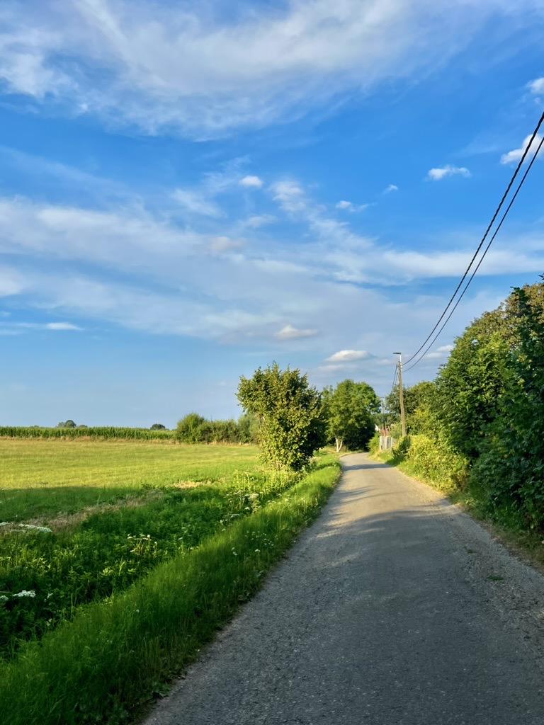 Sint-Pieters-Leeuw, Halle-Vilvoorde, Belgium

A narrow road winds through a lush green field under a bright blue sky dotted with wispy clouds. Utility poles and wires run alongside the path, while trees line its edges. The foreground is dominated by tall grasses and wildflowers, leading to an open field in the distance where crops are visible.

Sint-Pieters-Leeuw lies within the Flemish Brabant region's agricultural landscape, near the confluence of the Zenne and Dijle rivers' ancient floodplains.

35 mm equivalent: 26 mm
