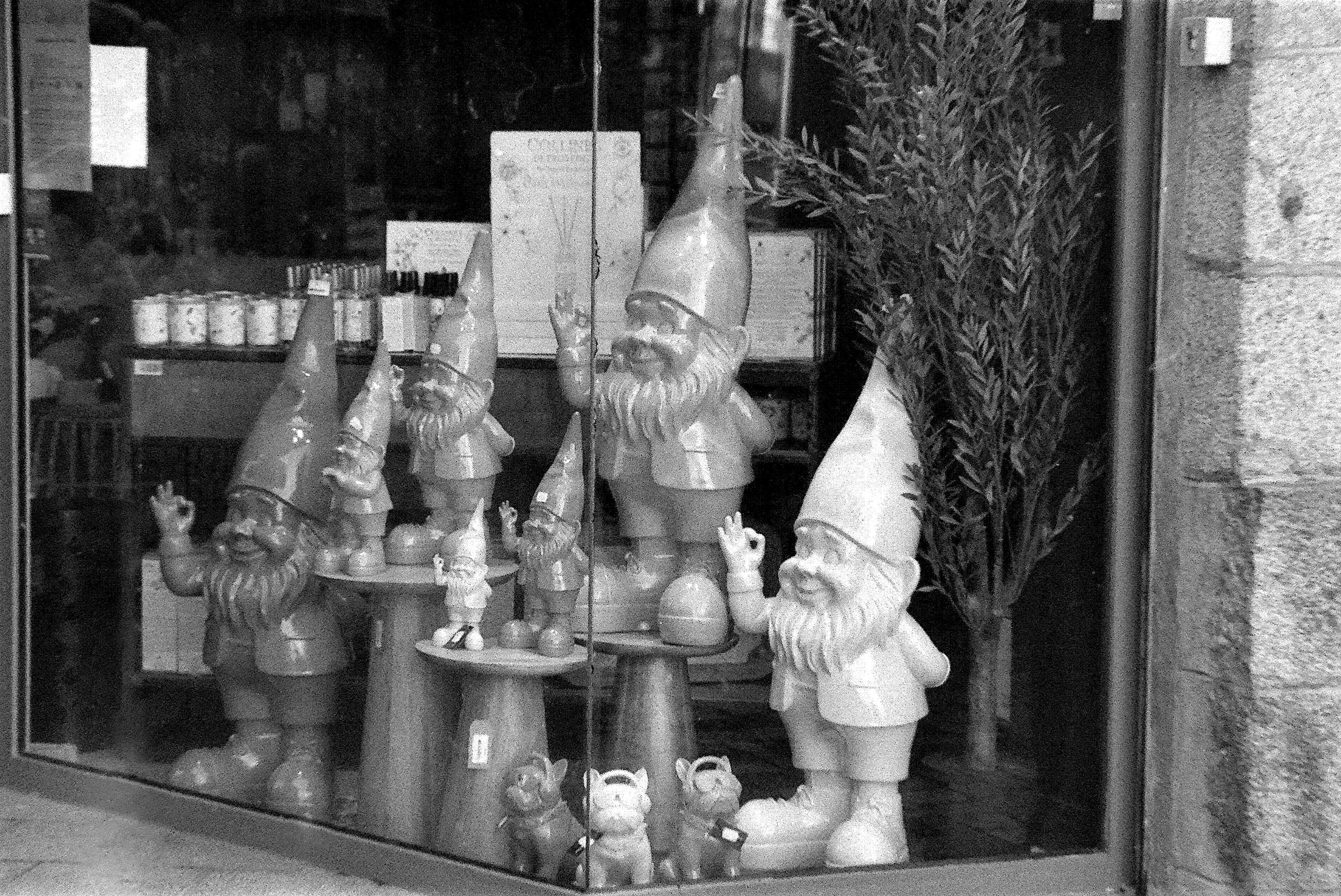 des nains de jardin géants dans une vitrine