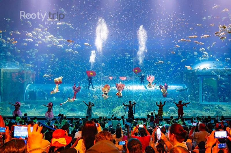 vinwonders mermaid show