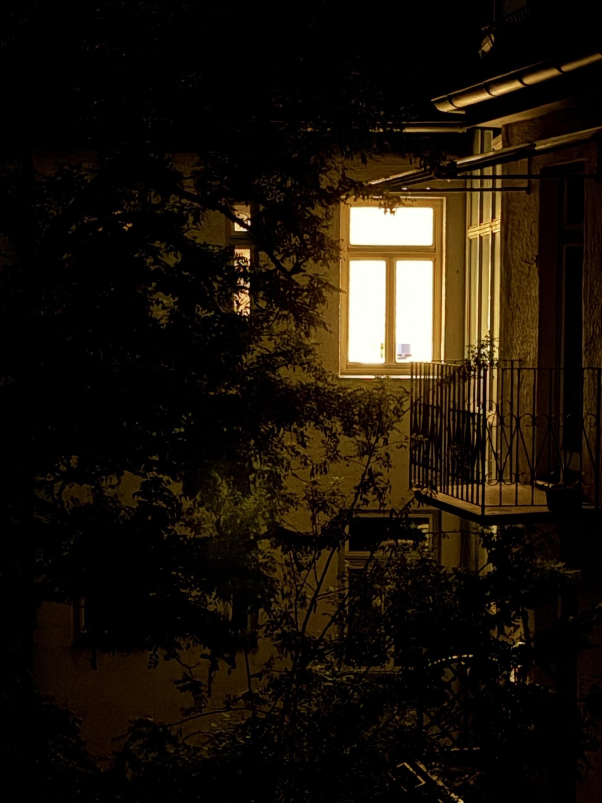 A brightly illuminated window glows through tangled bare branches in an almost entirely dark building façade. Part of a balcony is visible on the right.