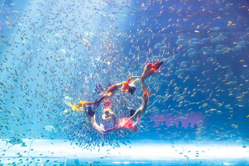 mermaid show vinwonders phu quoc