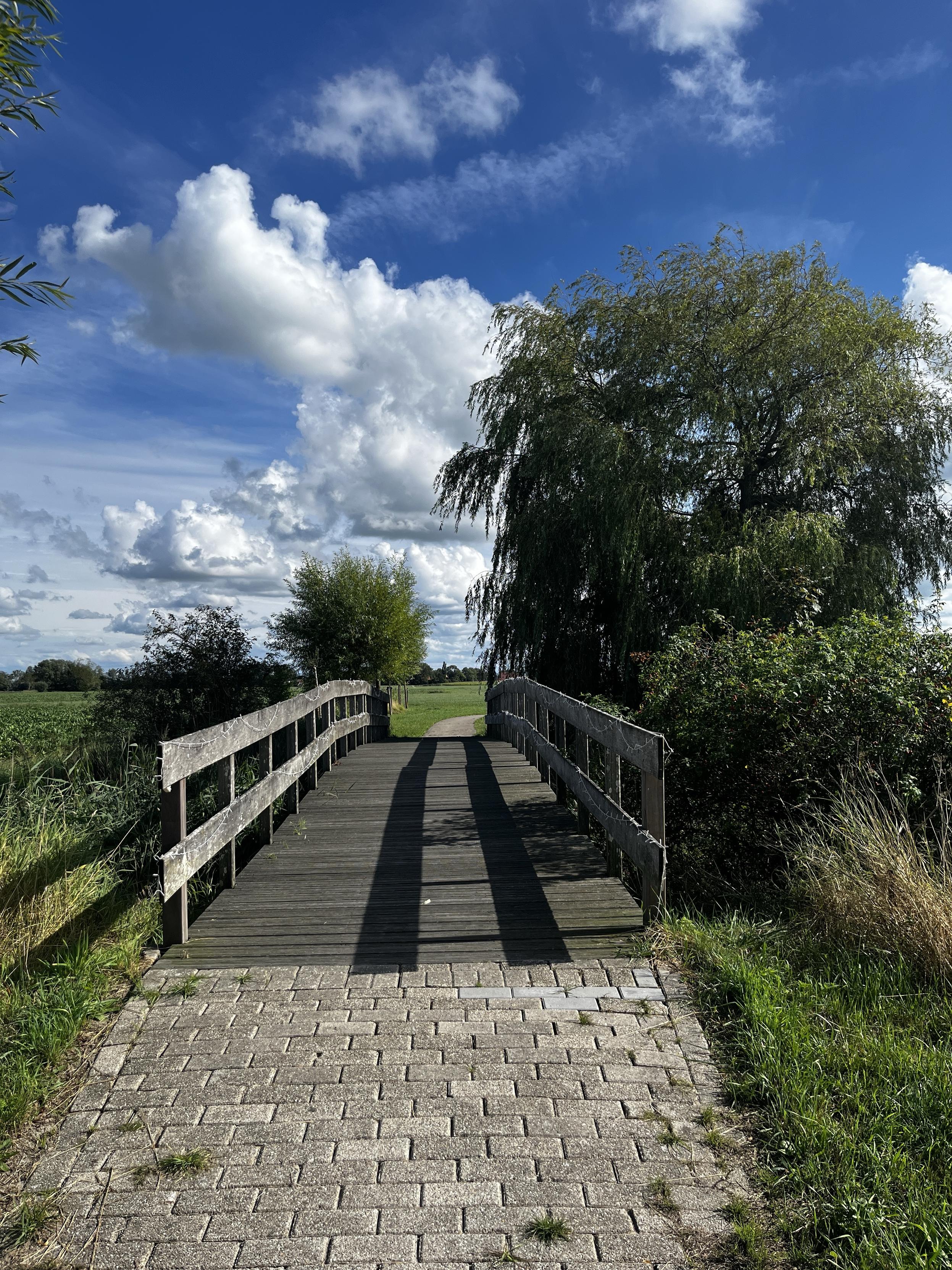 Wooden bridge, a cobblestone path leading up to it. A big green willow to the right and smaller ones to the left. The sky is blue with white clouds