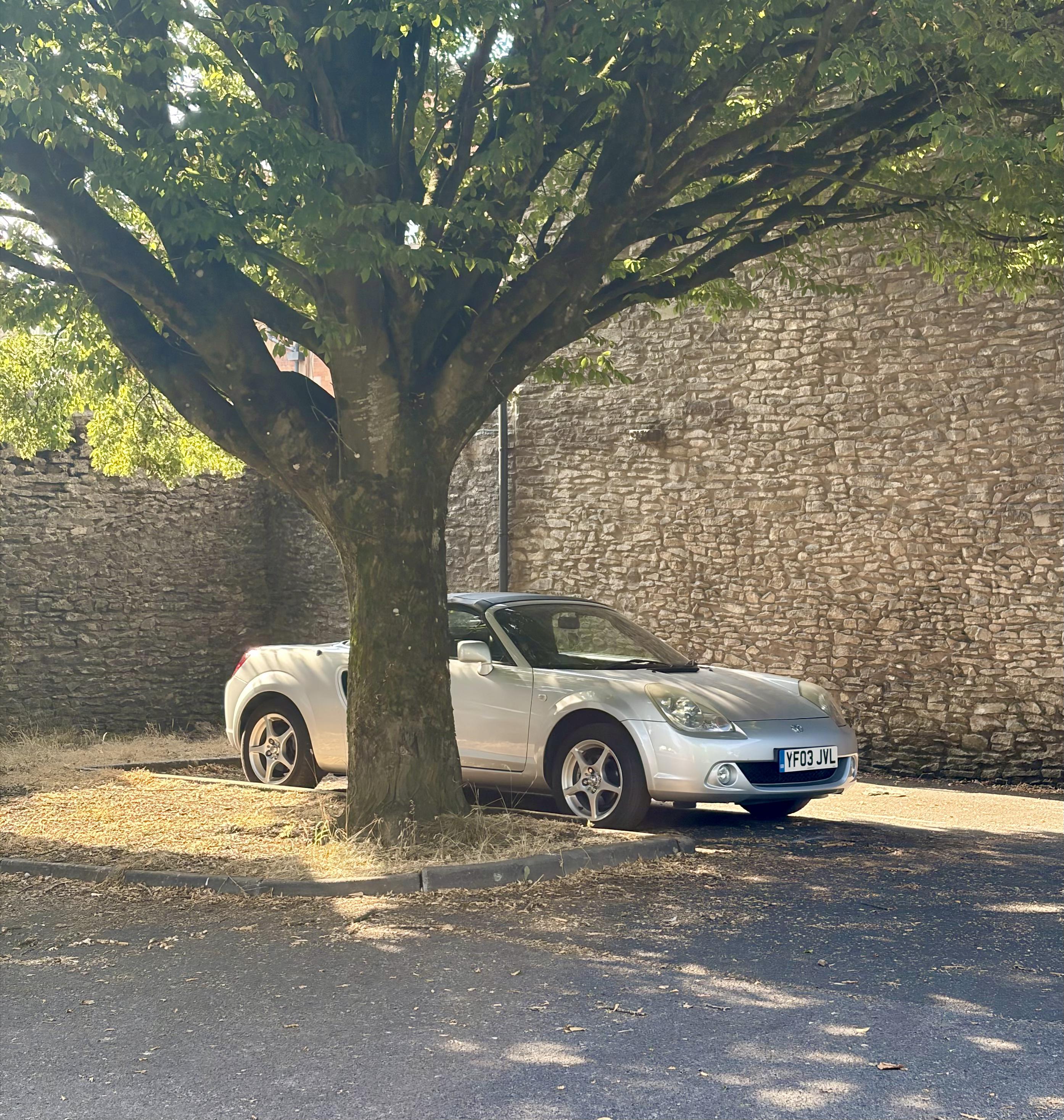 Toyota MR2 parked under a tree