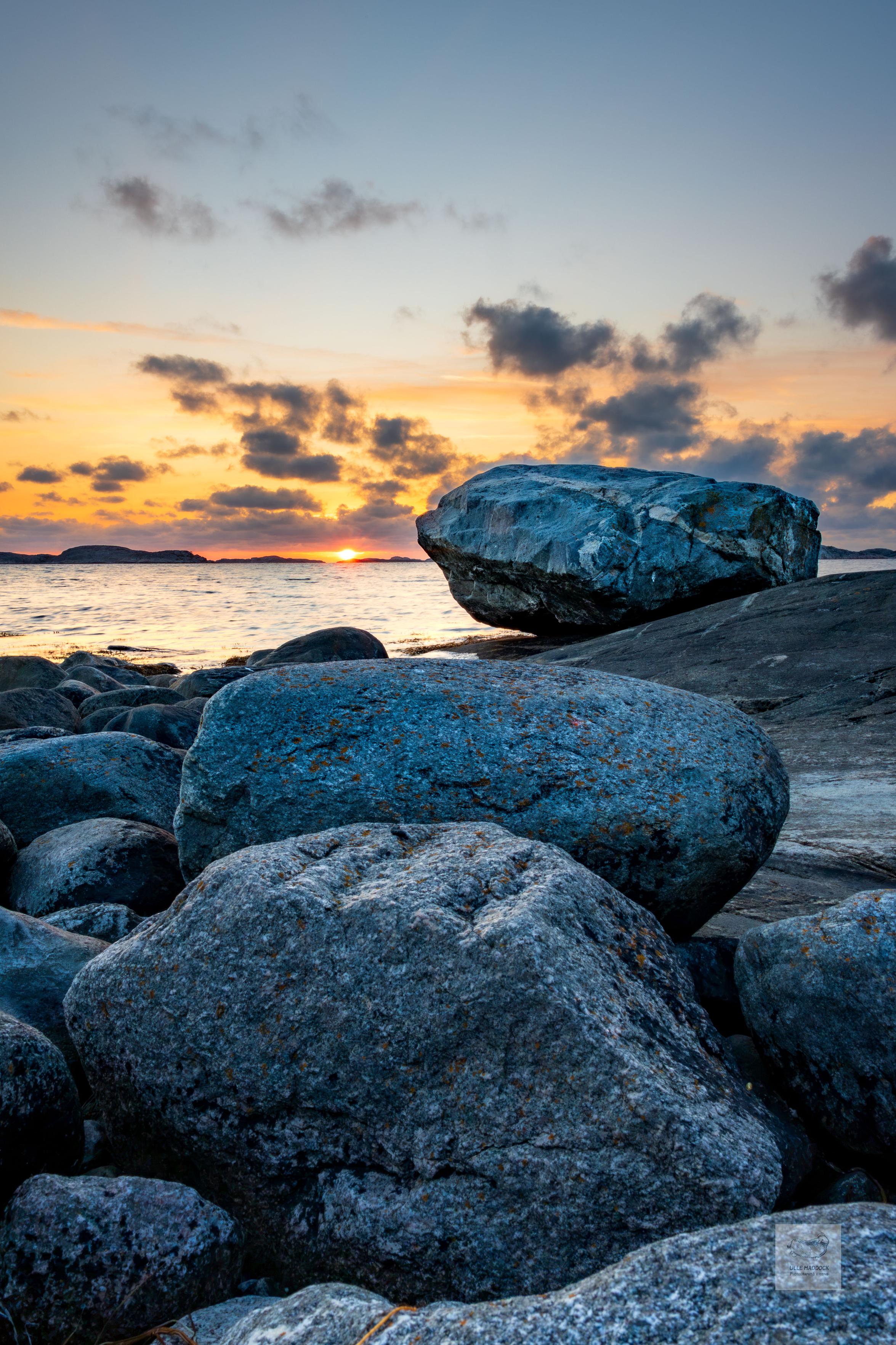 Sunset behind tree rocks
