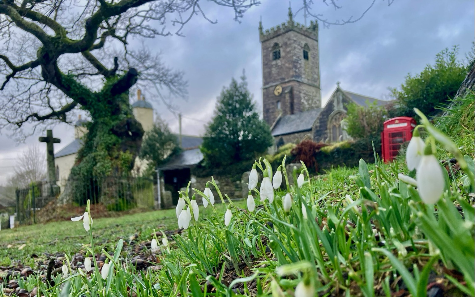 A low view of Meavy church and snowdrops.