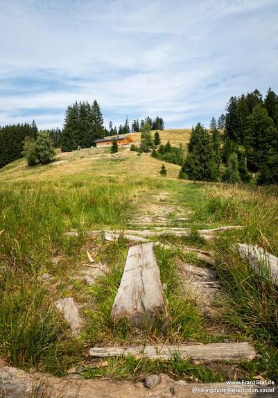 This image captures a rustic trail leading through a grassy hillside. The trail is constructed from weathered wooden planks and logs, creating a natural and uneven path. The surrounding grass is tall and lush, with a mix of green and golden hues. In the background, the hill rises gently, covered in dense evergreen trees. At the top of the hill, there is a small wooden cabin with a blue roof, adding a touch of human presence to the natural scene. The sky above is partly cloudy, with patches of b…