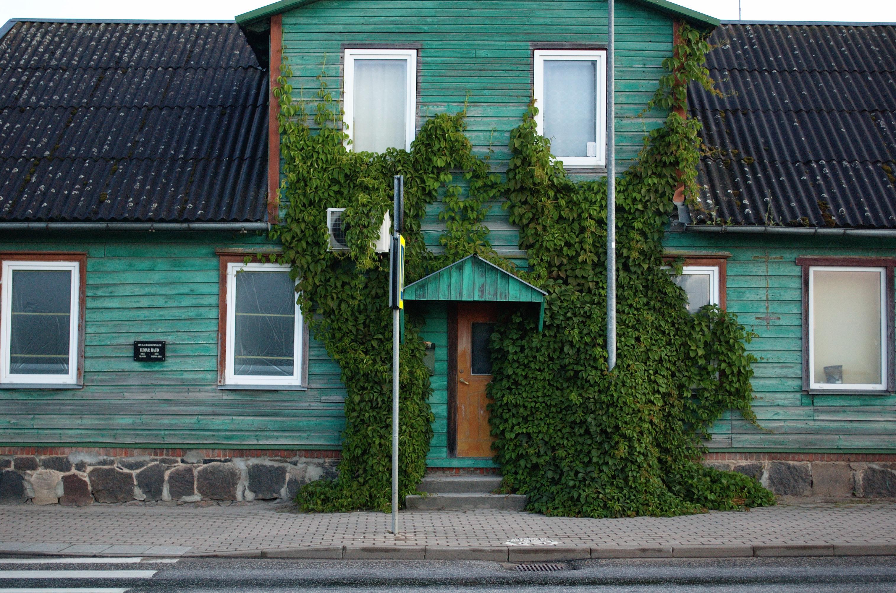 Photo of a green wooden house, shot from across the street. The wall around its front door is overgrown with ivy (or some similar crawling plant).
