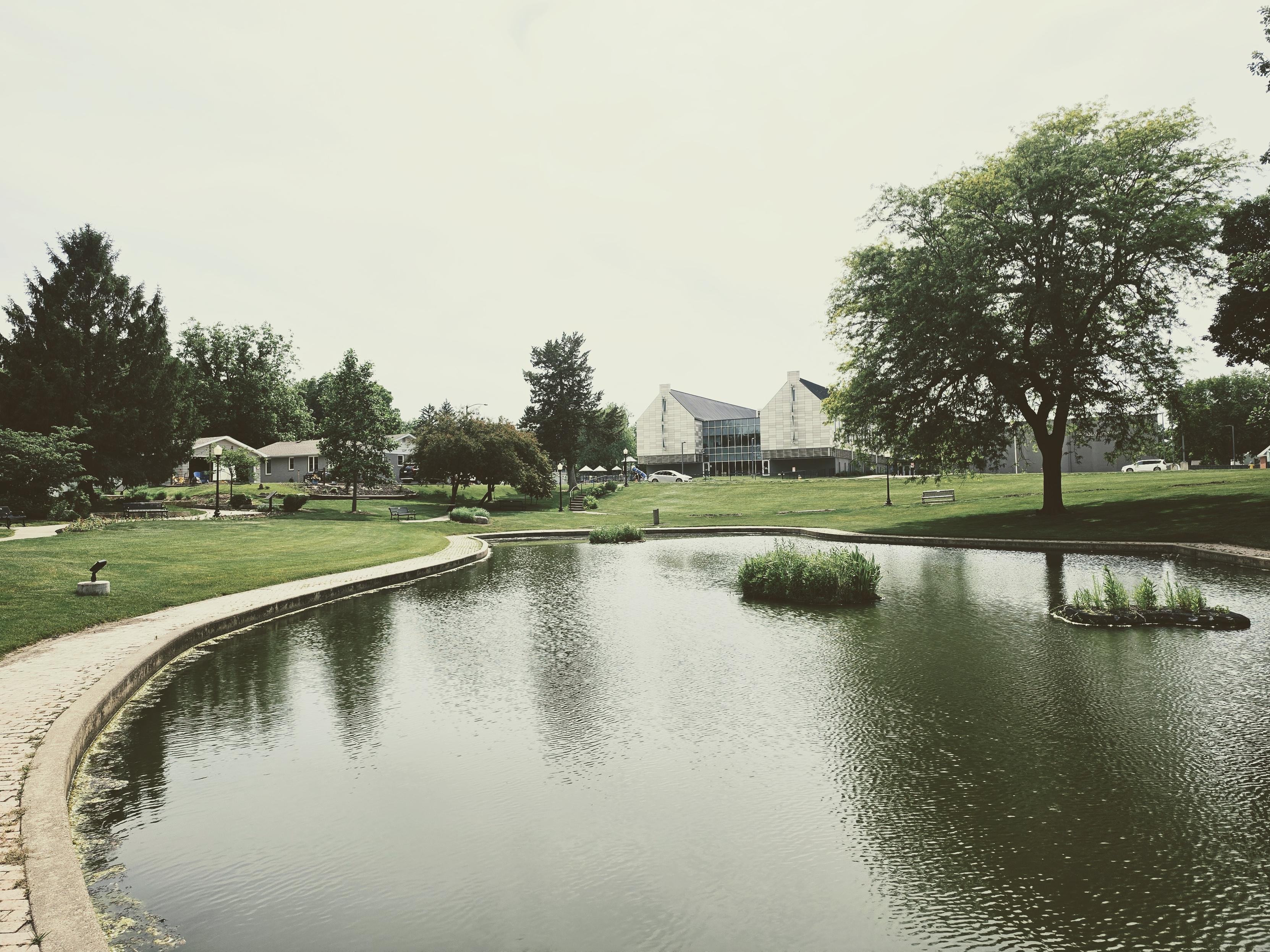 Pond Scene